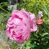 annatelier33